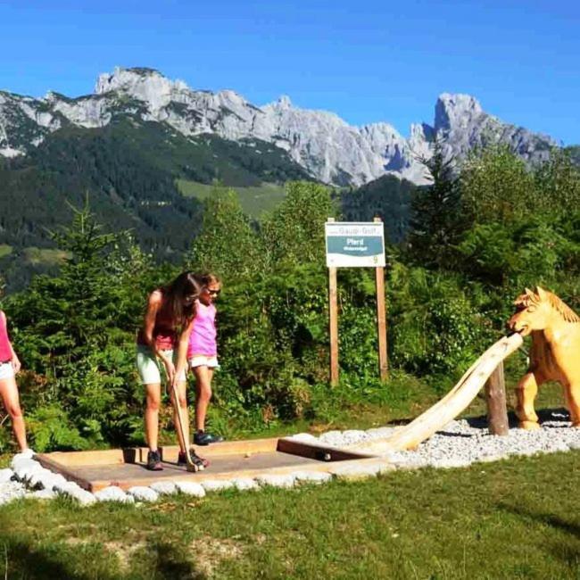 Plaik-Haeusl Villa Annaberg im Lammertal Exterior photo