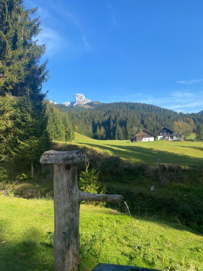 Plaik-Haeusl Villa Annaberg im Lammertal Exterior photo